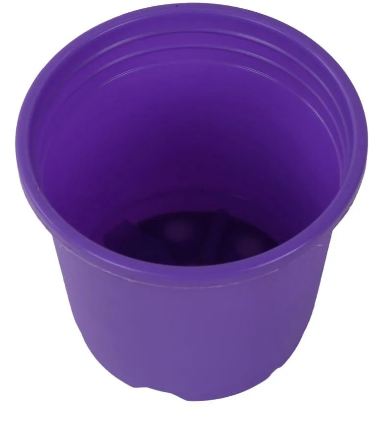 4" Flower Pot Violet Colour Sunrise Series (10 cm)