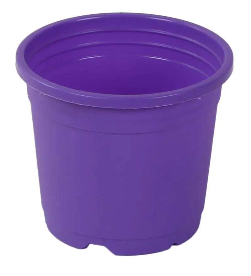 4" Flower Pot Violet Colour Sunrise Series (10 cm)