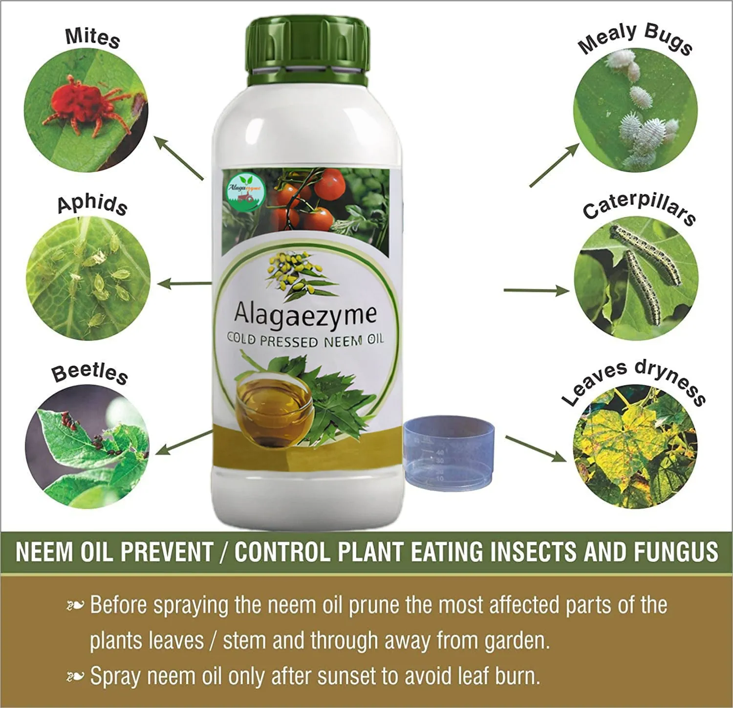 Alagaezyme Liquid Neem Oil for Organic Farming and Plant Growth | Organic Cold Pressed Water Soluble Pure Neem Oil with