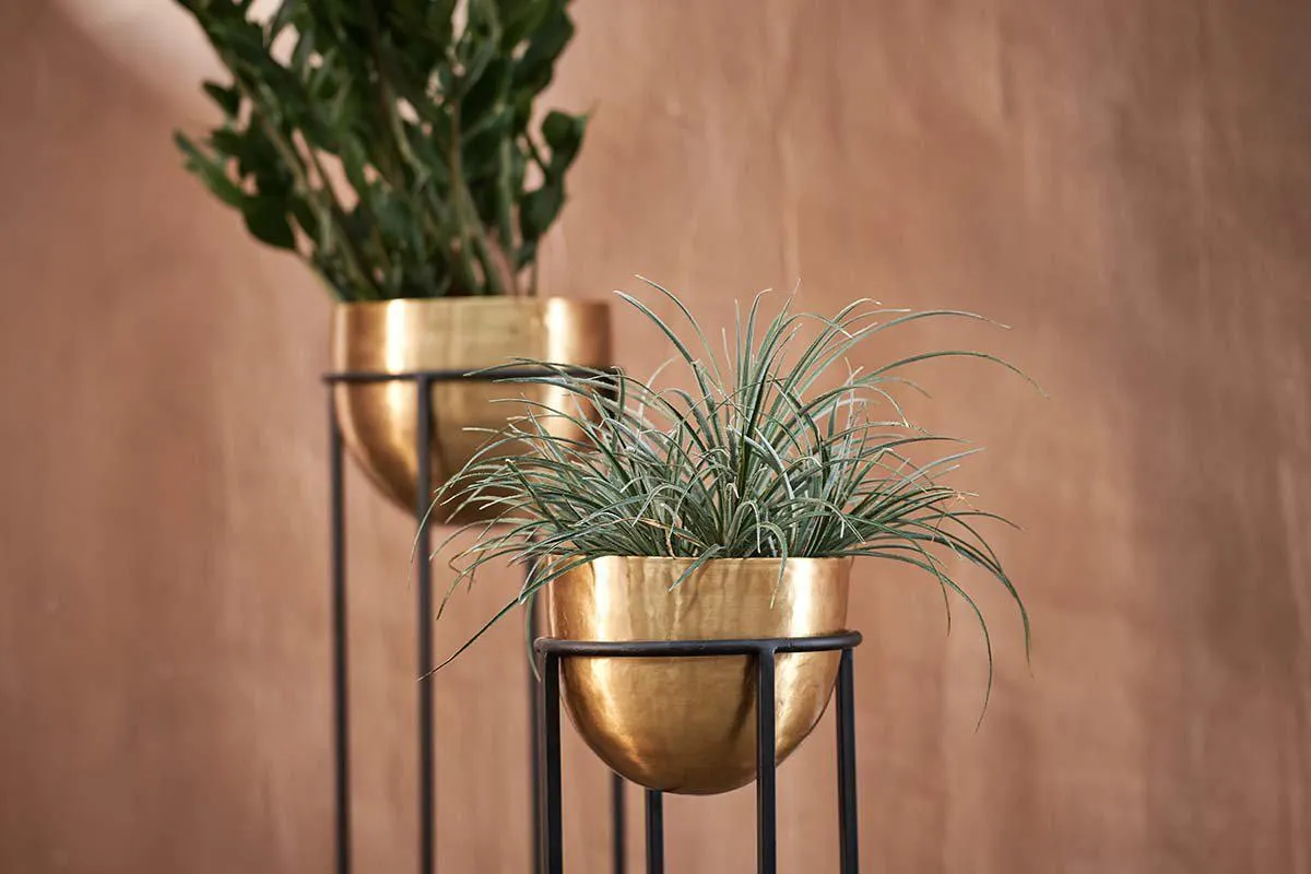 Atsu Brass Planter Stand