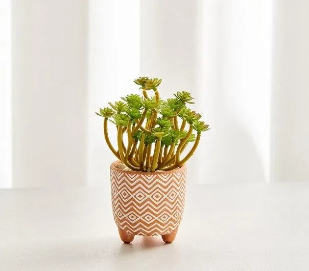 Boho terracotta plant pots