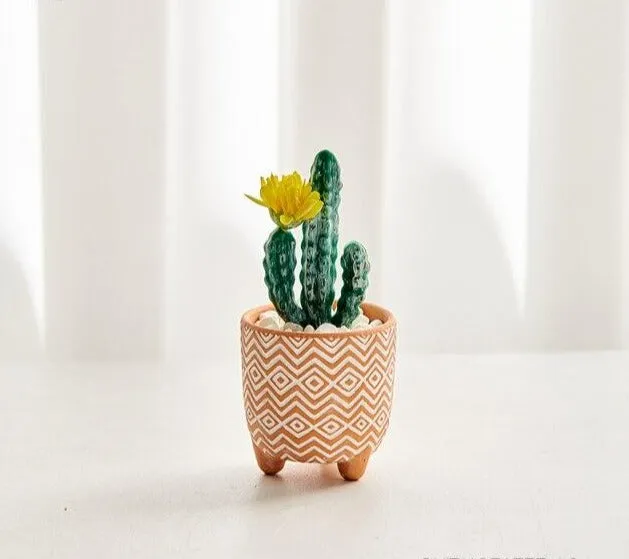 Boho terracotta plant pots