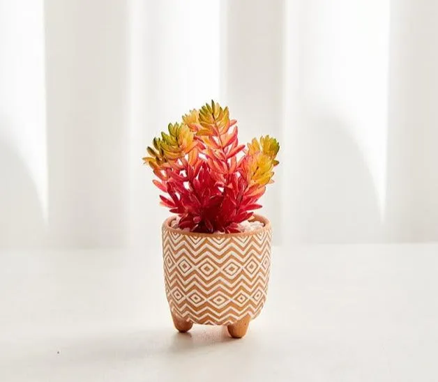 Boho terracotta plant pots