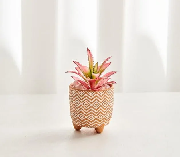 Boho terracotta plant pots