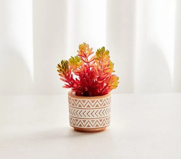 Boho terracotta plant pots