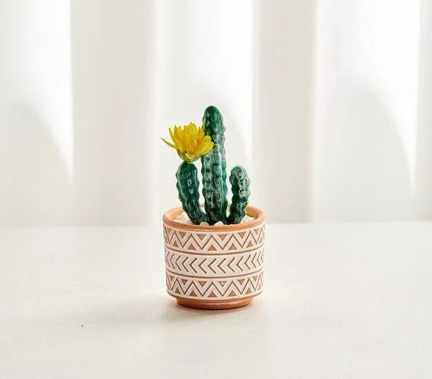 Boho terracotta plant pots