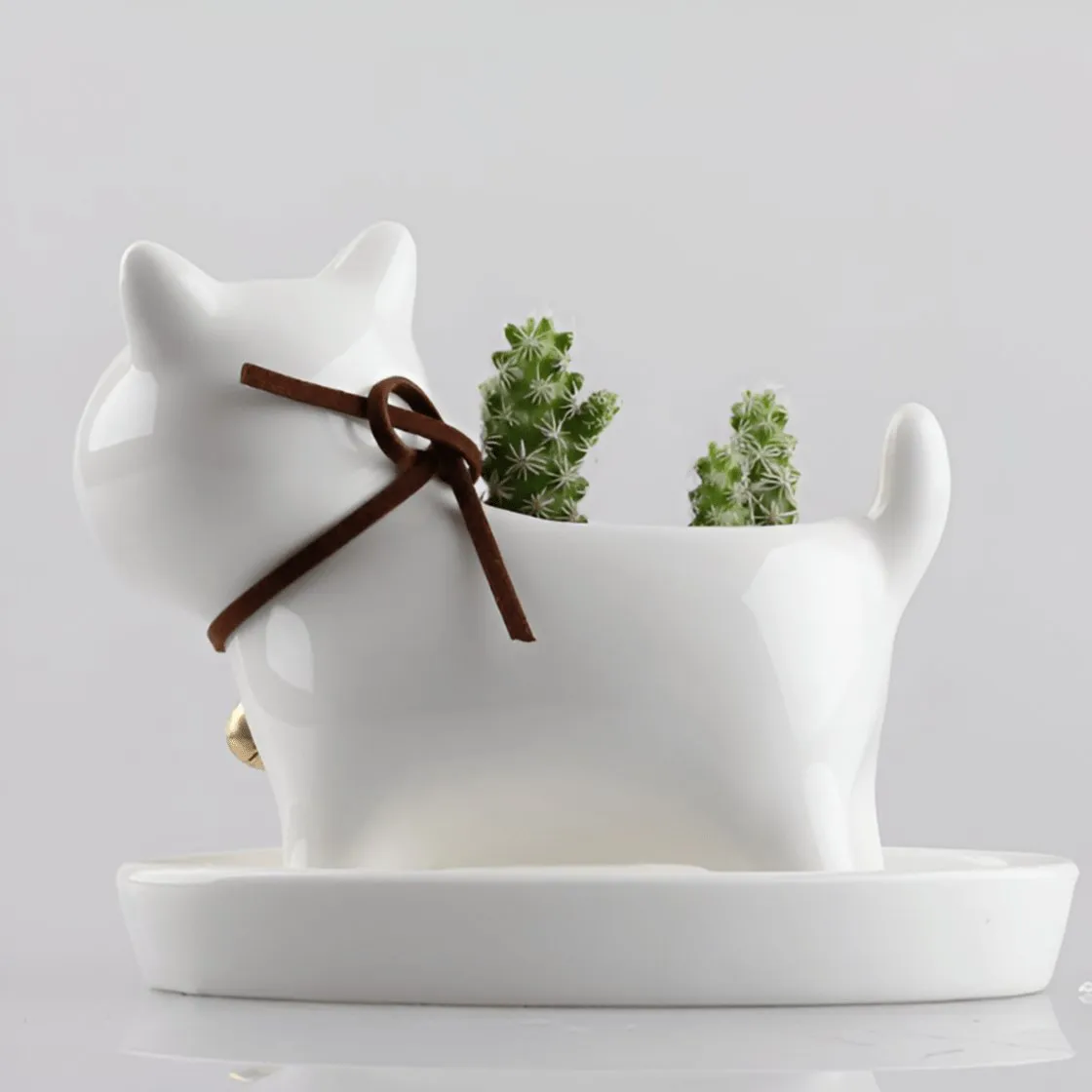 Bull Terrier Ceramic Flower Pot