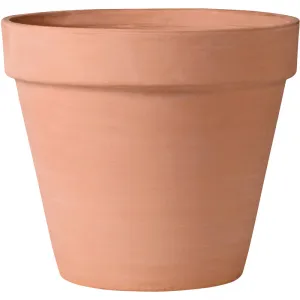 Deroma 5.22 in. H X 5.98 in. D Clay Standard Flower Pot Blush