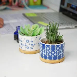 Ekhasa Small Ceramic Blue Pots with Bamboo Saucer for Plants with Drainage Hole | Succulent Planters Pot for Home Decor, Living Room, Office Desk, Balcony & Garden (Plants Not Included, Set of 2)