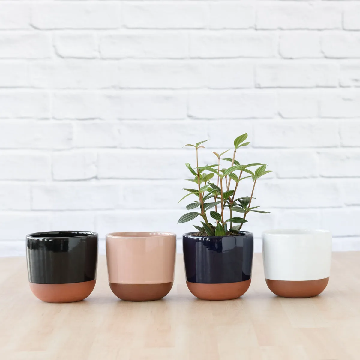 Pluto Planter - Navy Blue