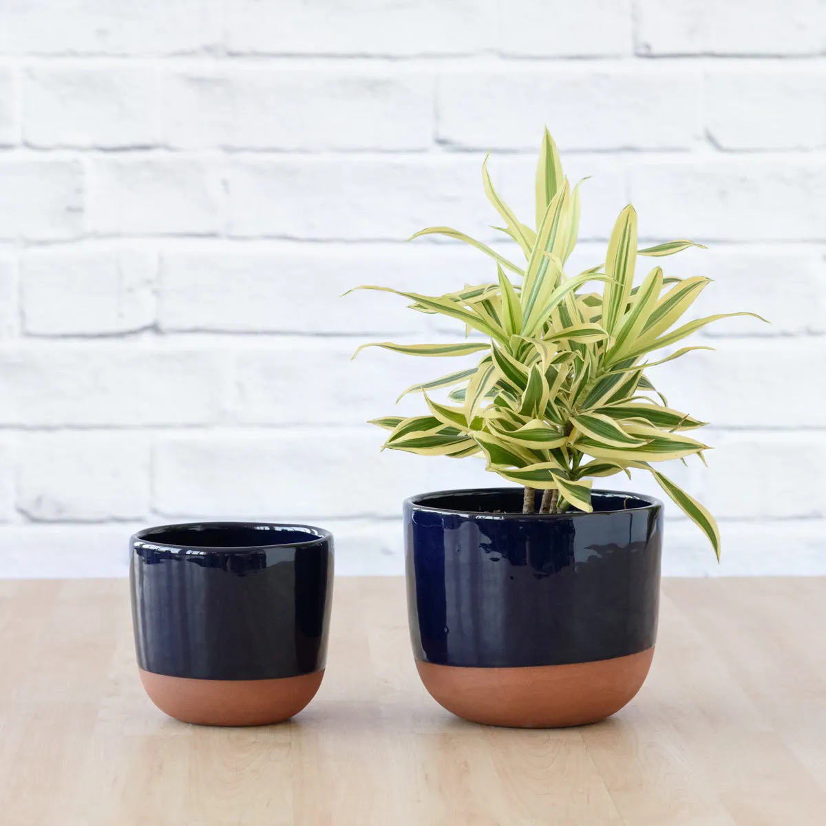 Pluto Planter - Navy Blue