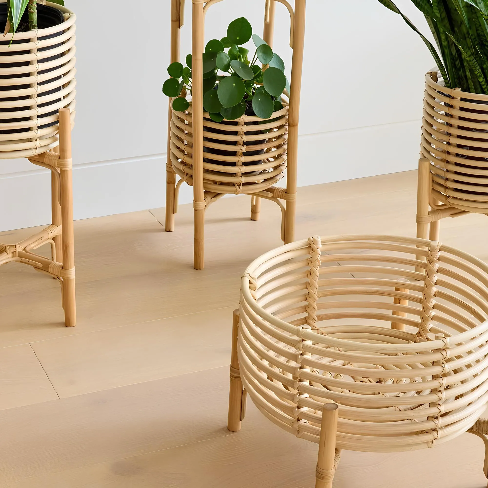 Rattan Plant Pots | Cane Flower Pots | Bamboo Planters - Ananya