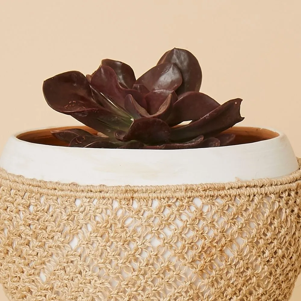 Small Macrame Wrap Terracotta Pot