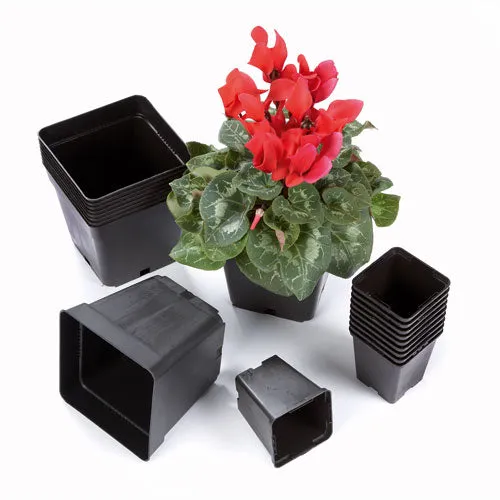 Square Pots