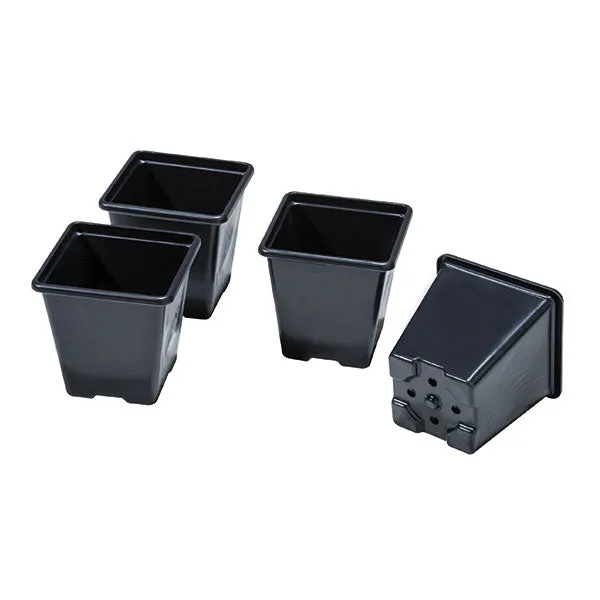 Square Pots