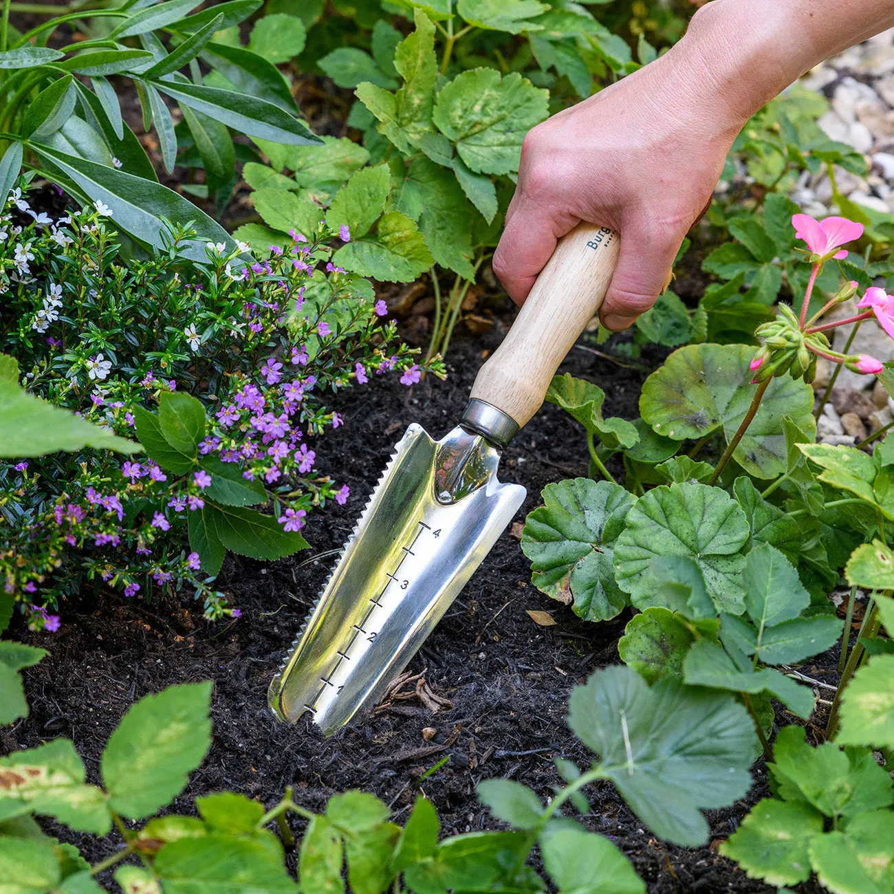 Weeding Trowel - RHS-Endorsed